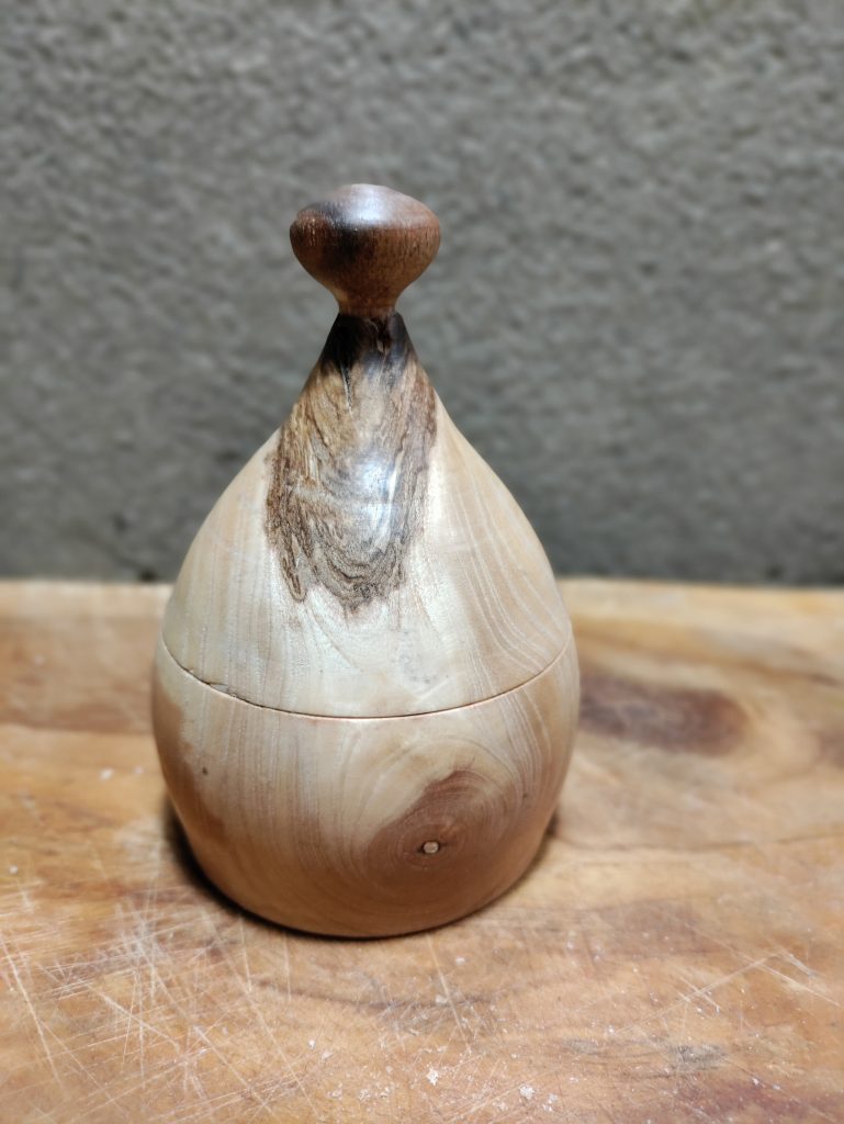 IMG_20220104_194700_Bokeh