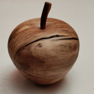 Collection fruits pomme