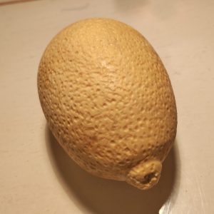 Collection fruits citron