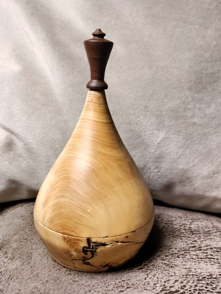 IMG_20240227_000311__01