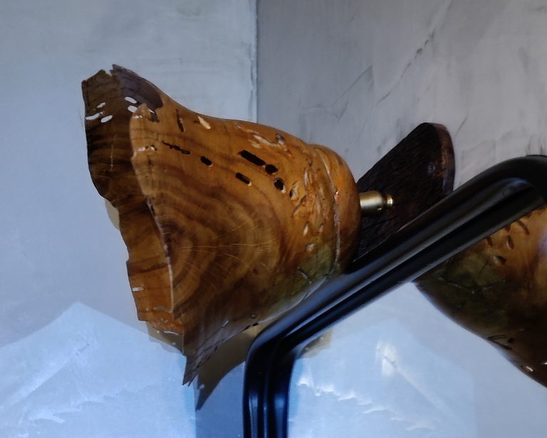 IMG_20241118_174209__01