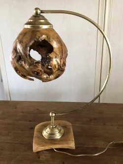 Lampe en trogne de tilleul