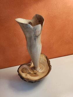 élancement (platane et robinier)