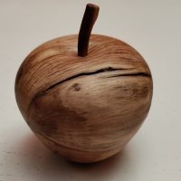 photo non contractuelle